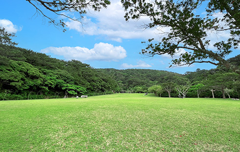 沖縄県 県民の森